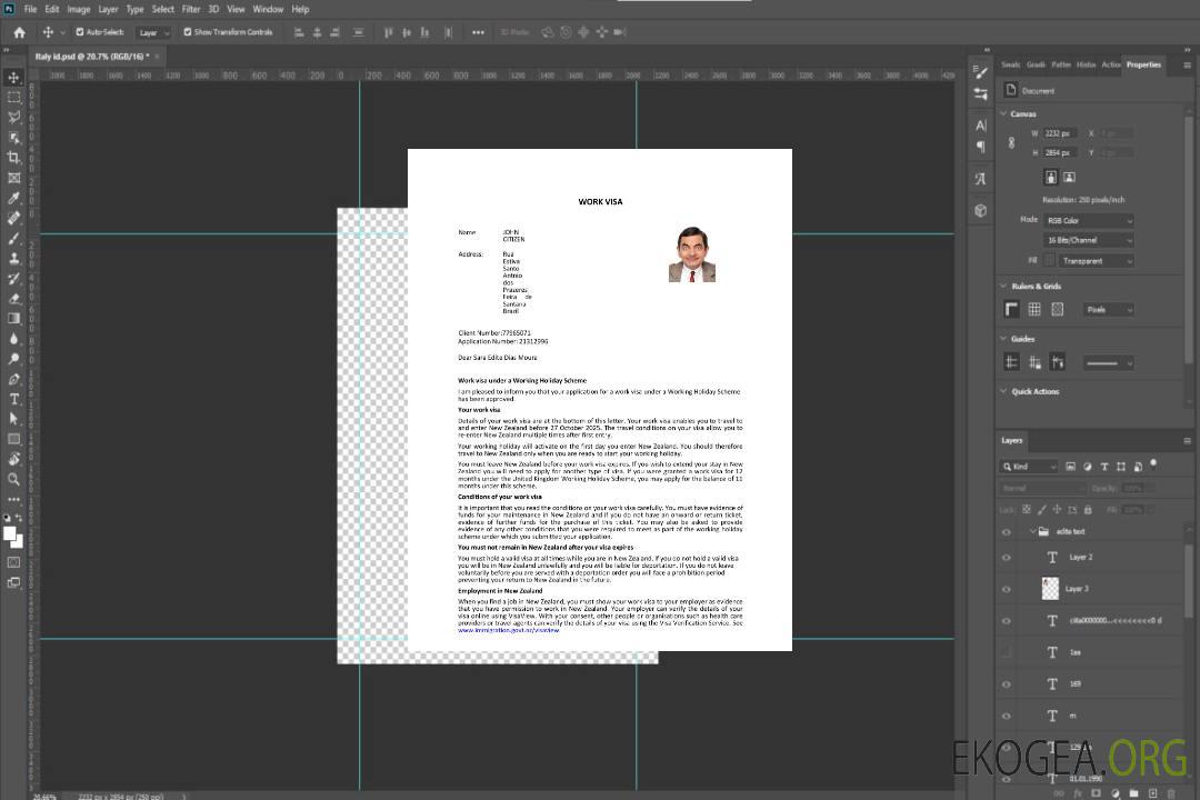 Modèle de visa électronique pour la Nouvelle-Zélande aux formats Word et PDF template